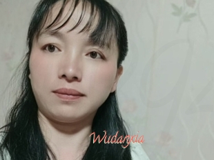 Wudanxia