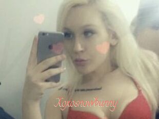 Xoxosnowbunny