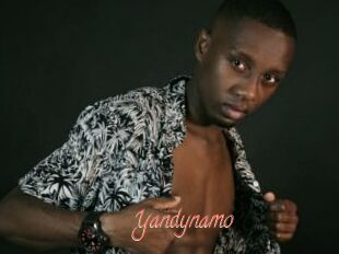 Yandynamo