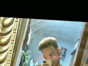YoungOtter