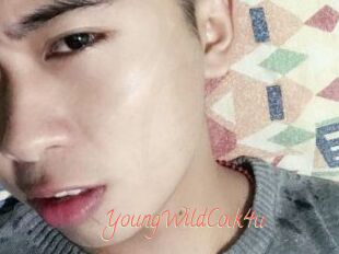 YoungWildCock4u