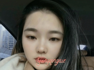 Yangqingxue