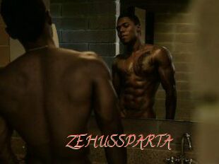 ZEHUS_SPARTA